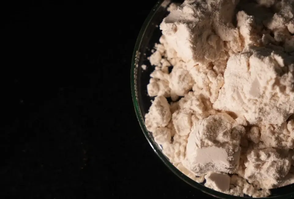 Close-up of free-flowing encapsulated flavour powder