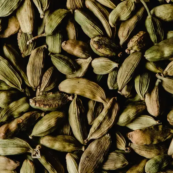 Green cardamom pods