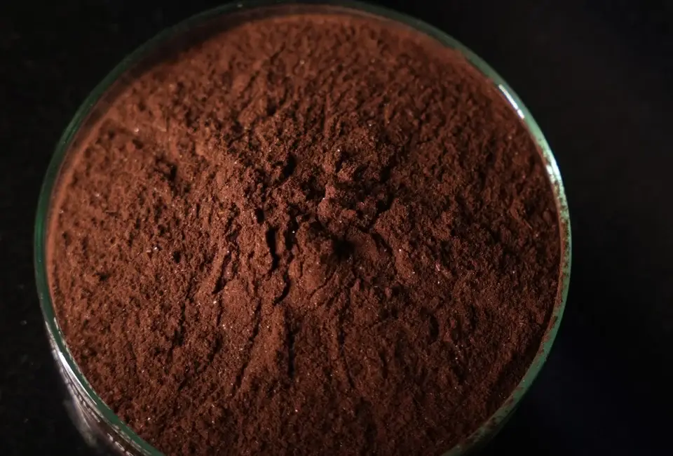 Cocoa powder close-up