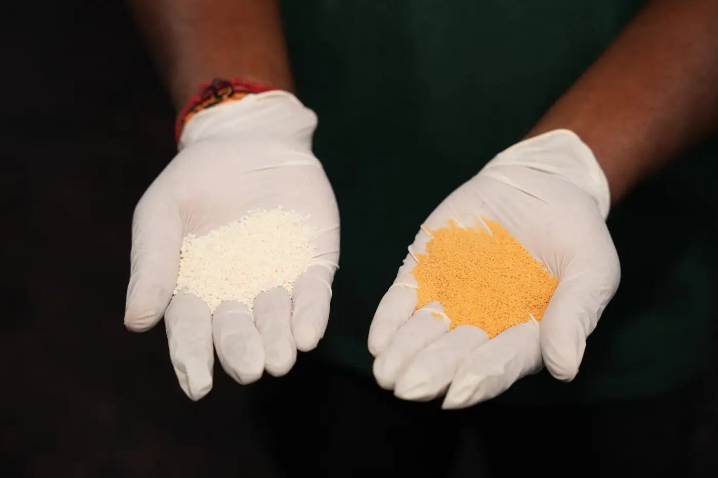 Two flavour powders held in gloved hands